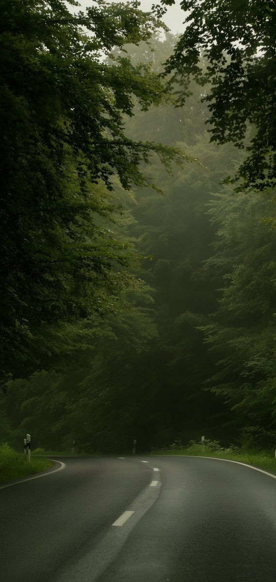 Eryth_Studio's tweet photo. Mystic Forest &amp; Foggy Roads 🌴 https://t.co/BnaZWSbPII