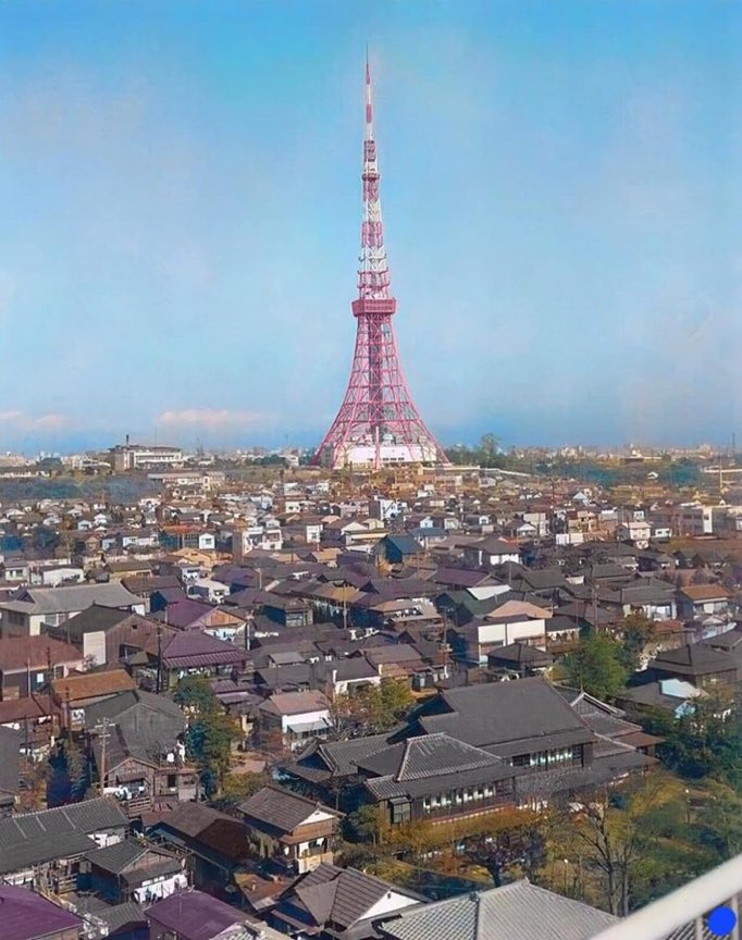 ⚠️危険感知bot tweet media