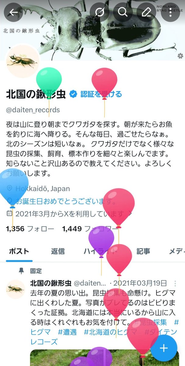北国の鍬形虫 tweet media