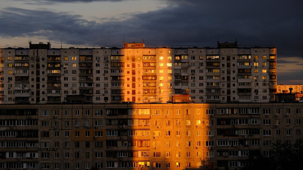 ✙Товстий кіт ꑭ✙ tweet media