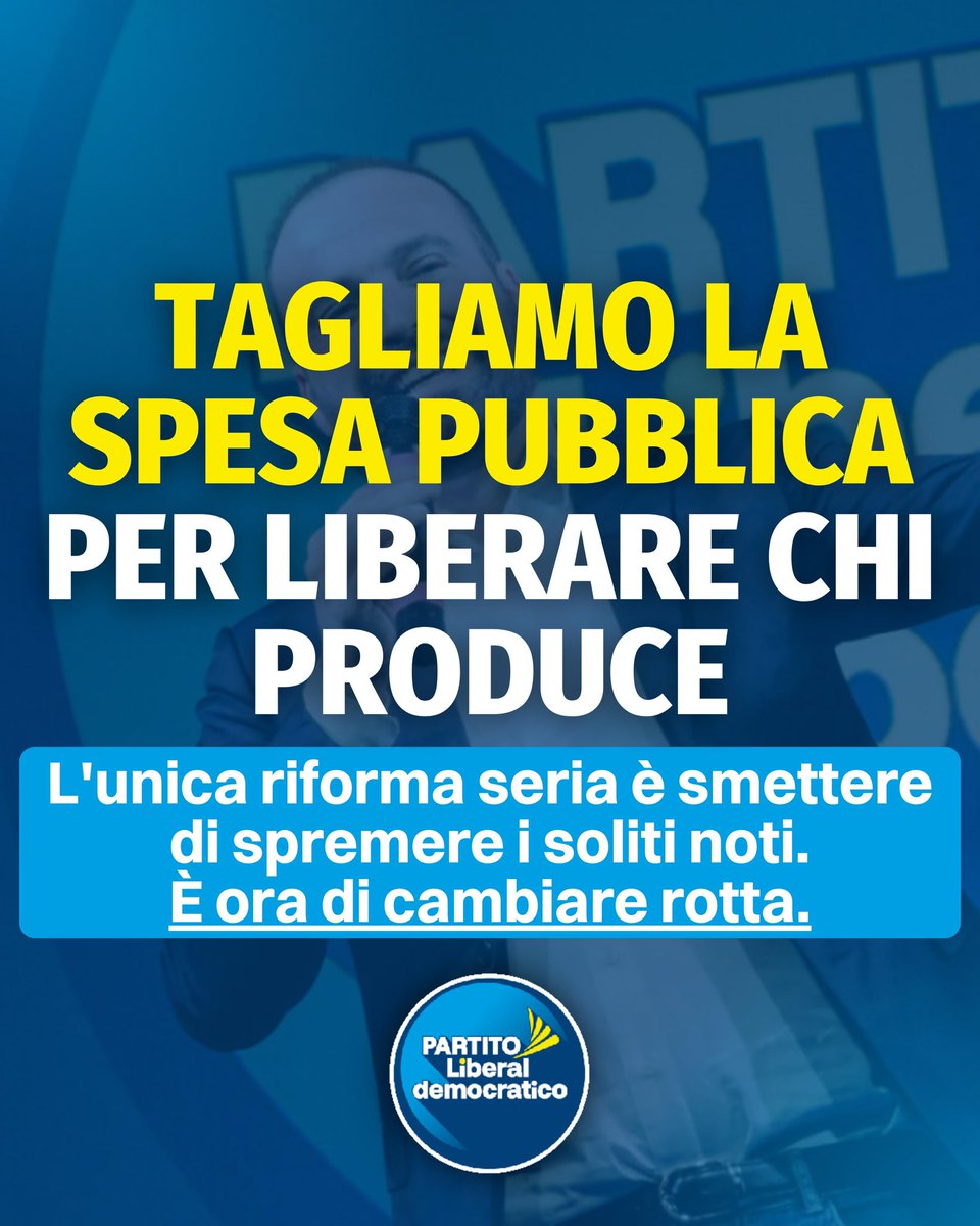 Partito Liberaldemocratico tweet media