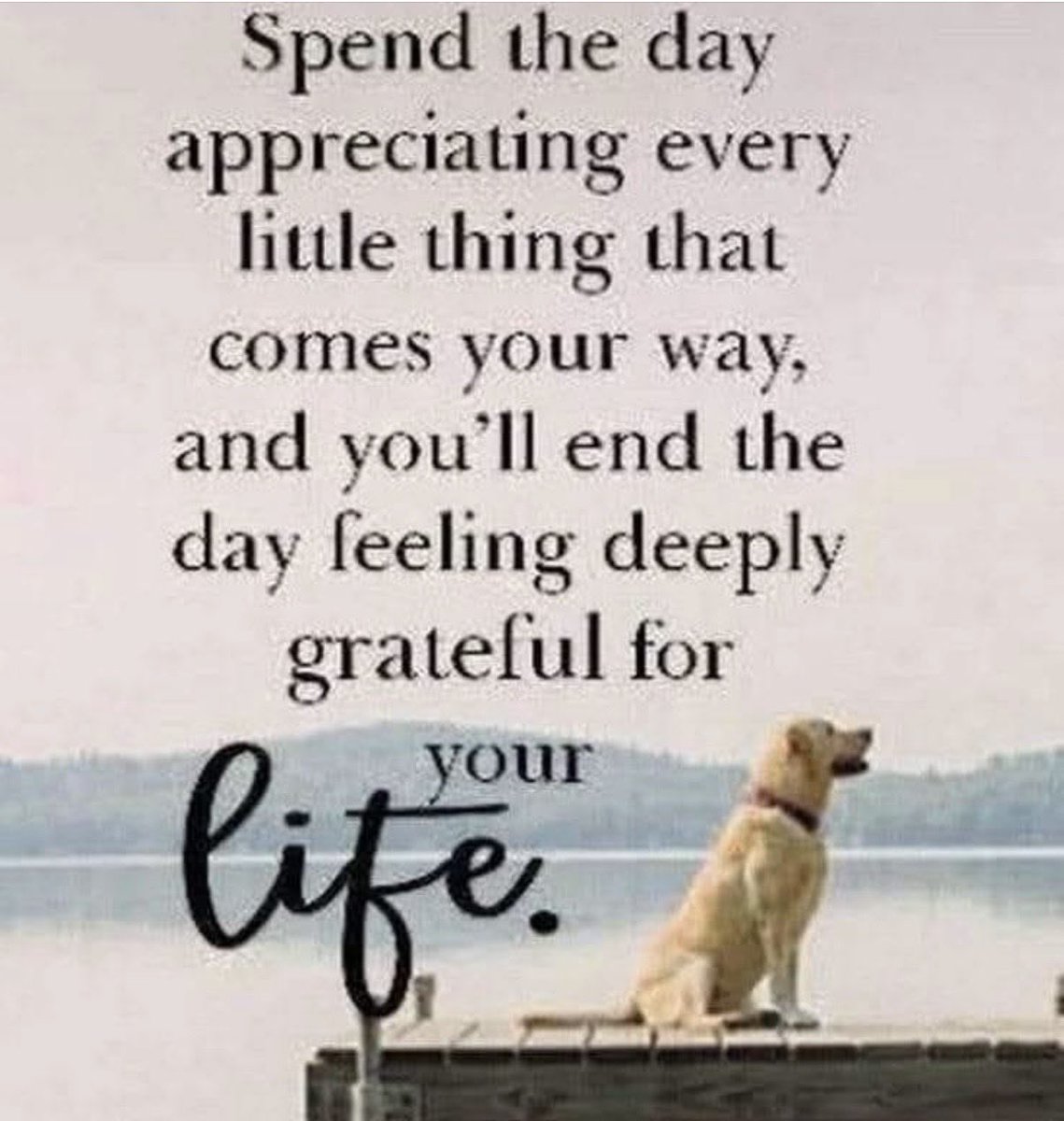 OfPinkest's tweet photo. Good morning ! Happy Friday ☺️ https://t.co/kxt8SfYhj4