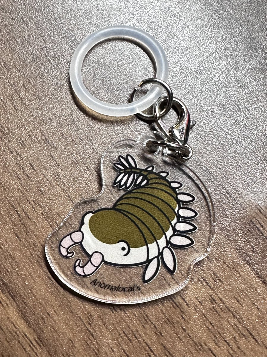 erifrog's tweet photo. アノマロカリス　Anomalocaris
可愛い。
名古屋市科学館　大絶滅展
とっても見応えのある特別展だった。 https://t.co/2dEsYFrUap