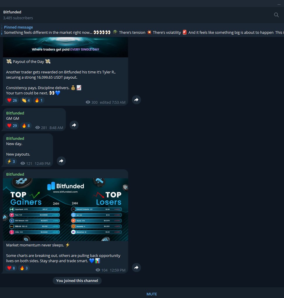 Talisman tweet media