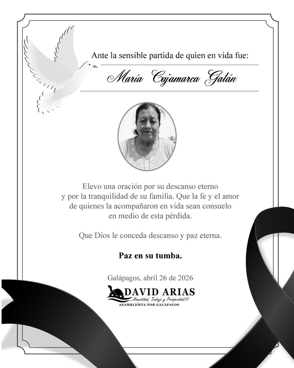 David Arias M tweet media