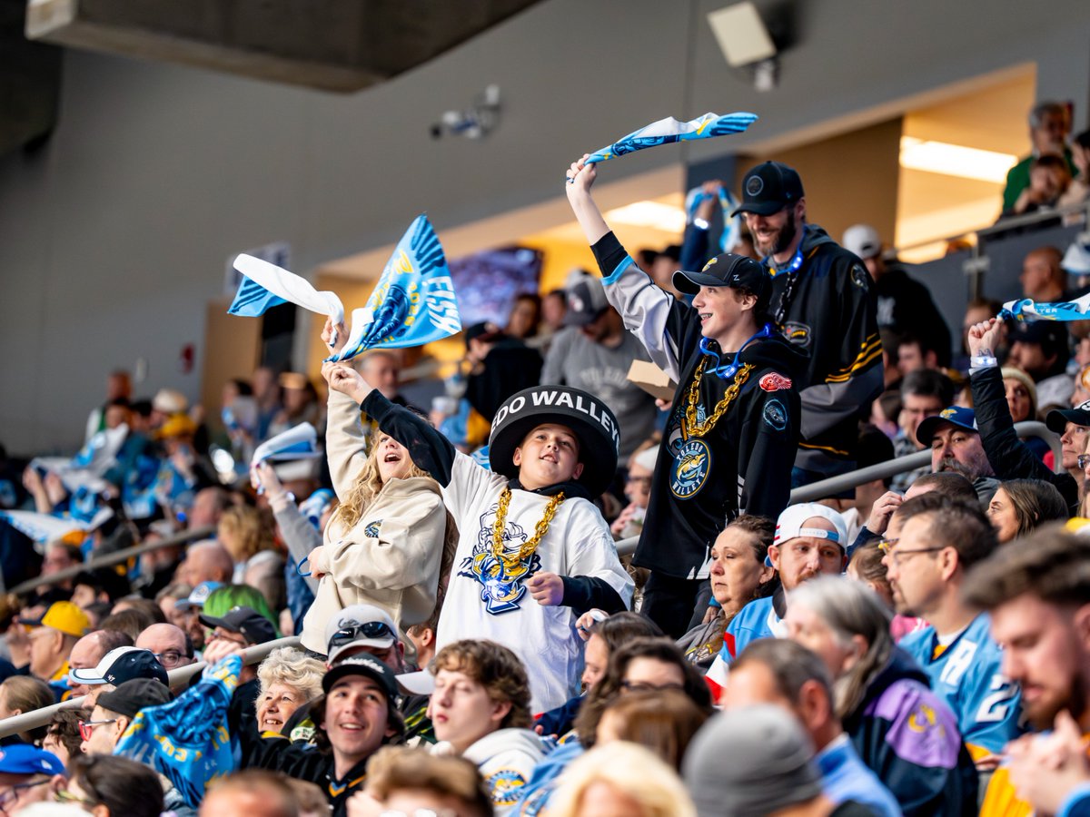 Toledo Walleye tweet media