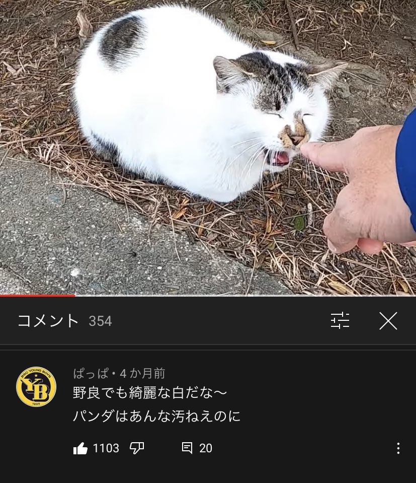 𝕐ouTube迷コメント集 tweet media