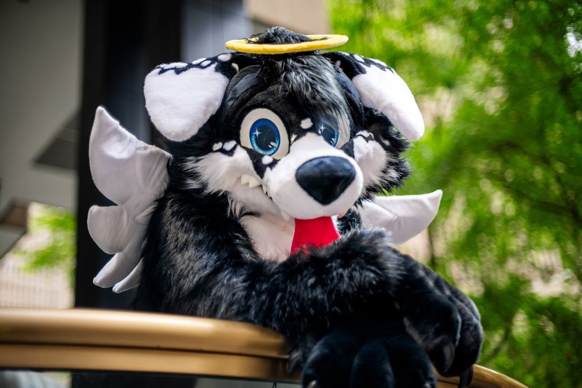 Angel Dog Alis 🔜 FWA tweet media