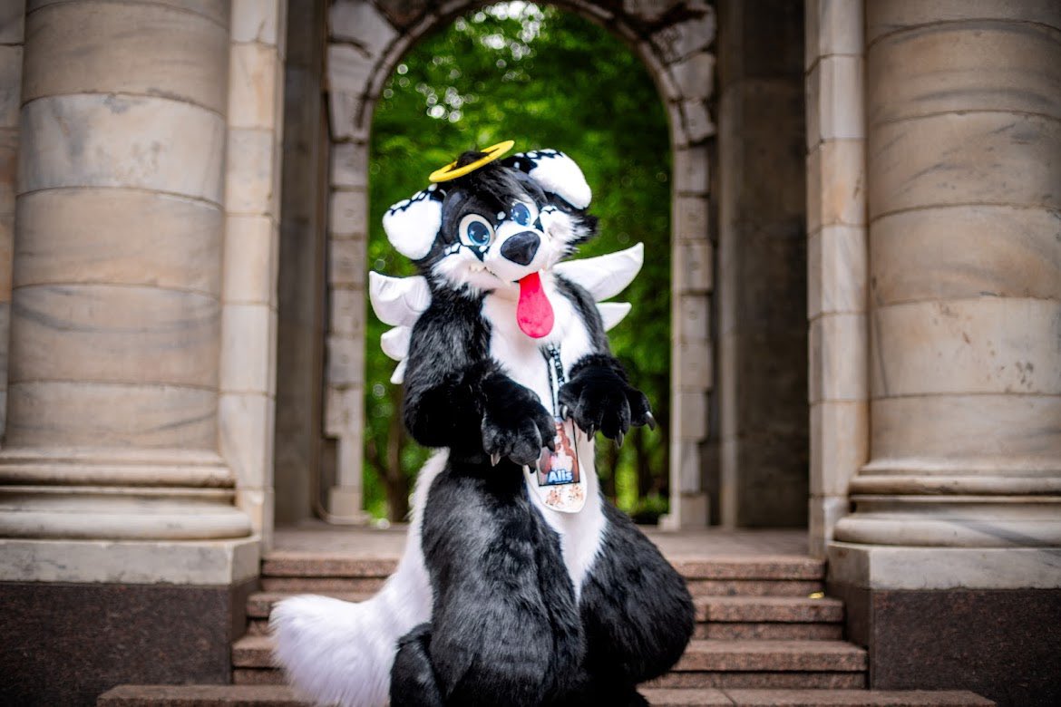 Angel Dog Alis 🔜 FWA tweet media