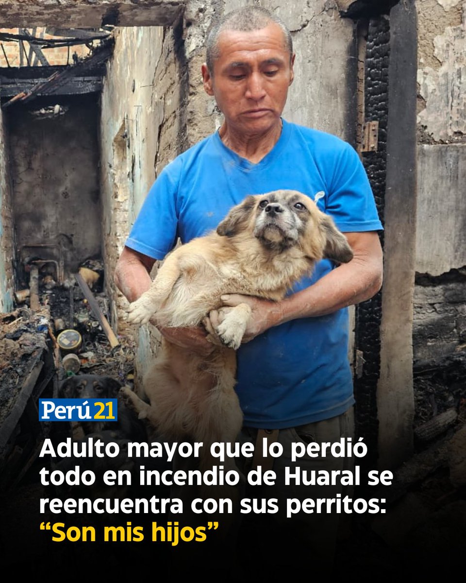 peru21noticias's tweet photo. 🐶🚨Sus mascotas, todas rescatadas de la calle, permanecen junto a él entre los restos de lo que fue su vivienda. Más información sobre este caso AQUÍ: https://t.co/3BcL81HMDf https://t.co/a34kadXRdI