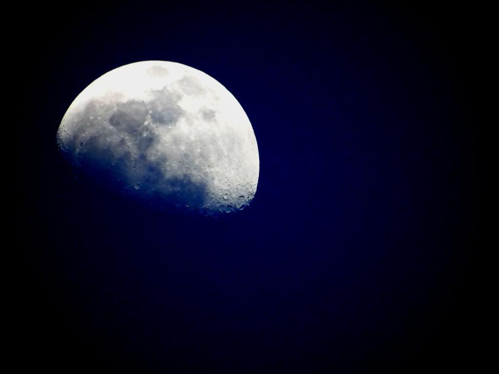 rcvenantx's tweet photo. #IRENE_IWILL_OURMOON https://t.co/b5c6DnkFLw