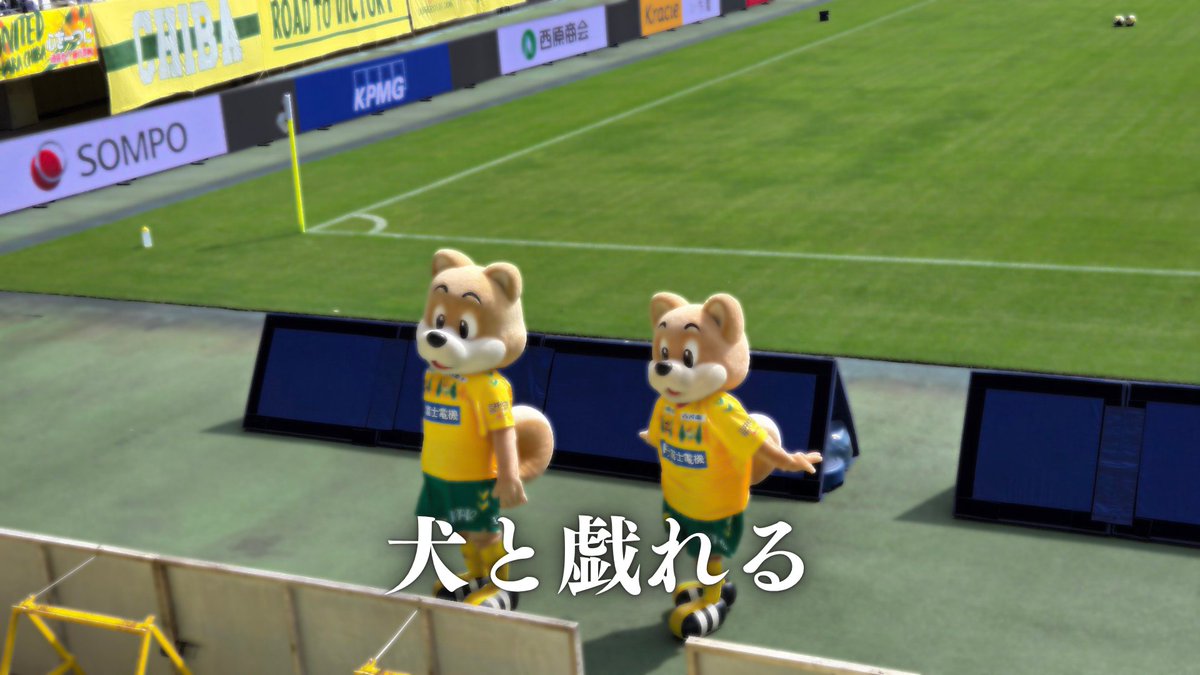 ぜし@水戸のジェフサポ⚽🐕️💨 tweet media