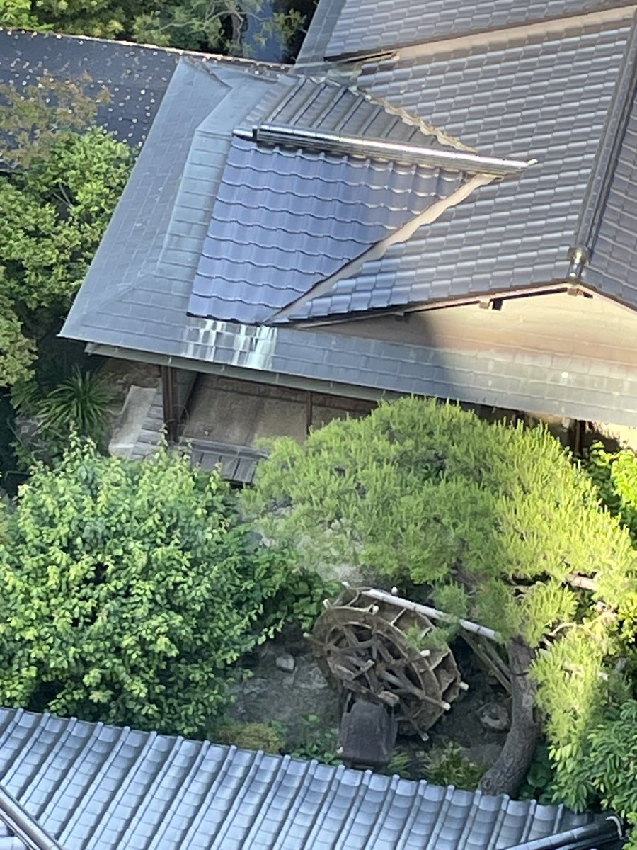Hawaii tweet media