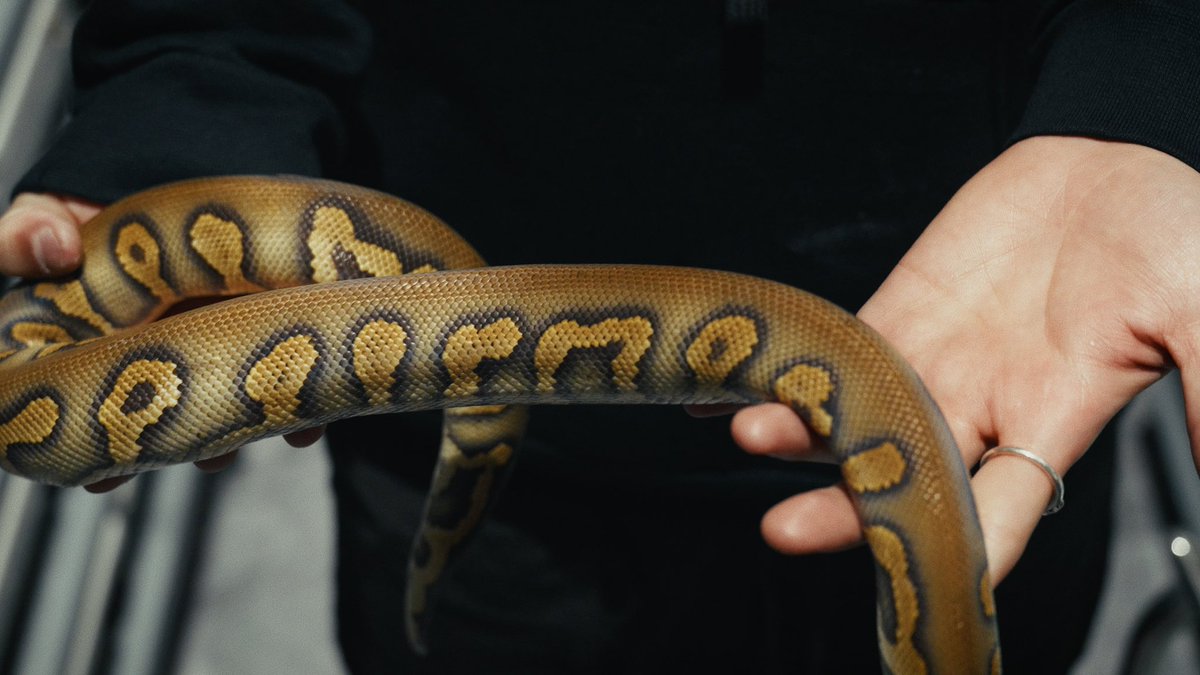 finest_python's tweet photo. https://t.co/Ee3hdshdtE