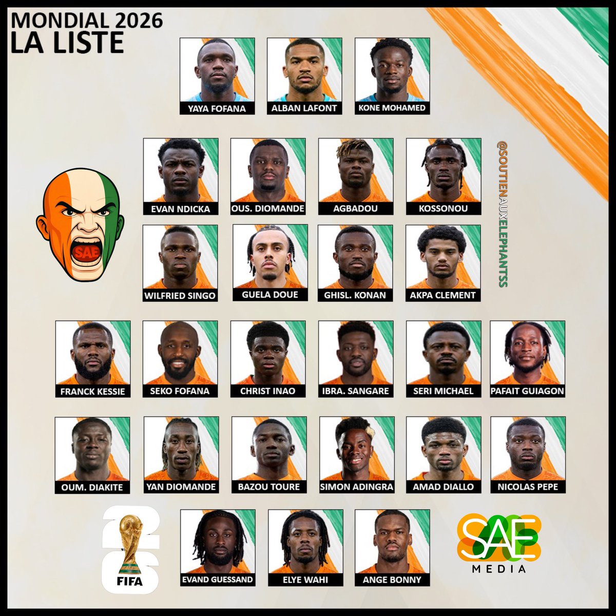 SOUTIENAUXELEPHANTS🇨🇮 tweet media