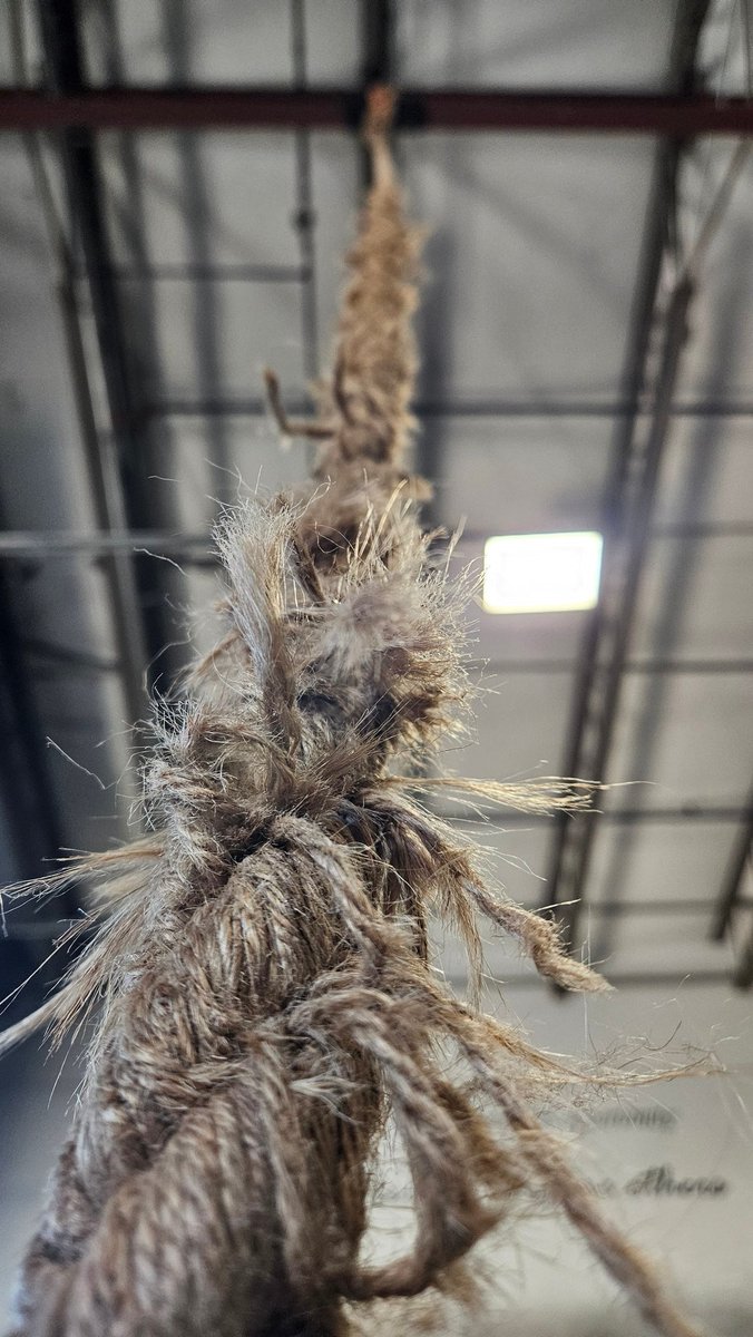 petzilla tweet media
