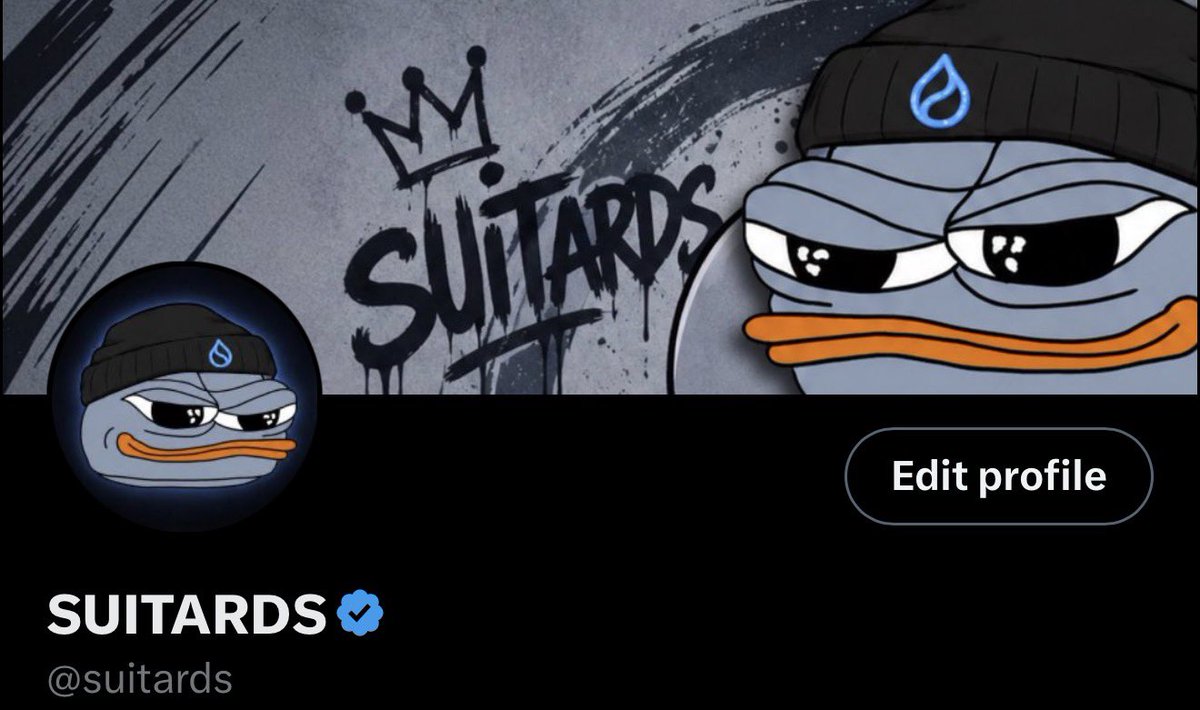SUITARDS tweet media