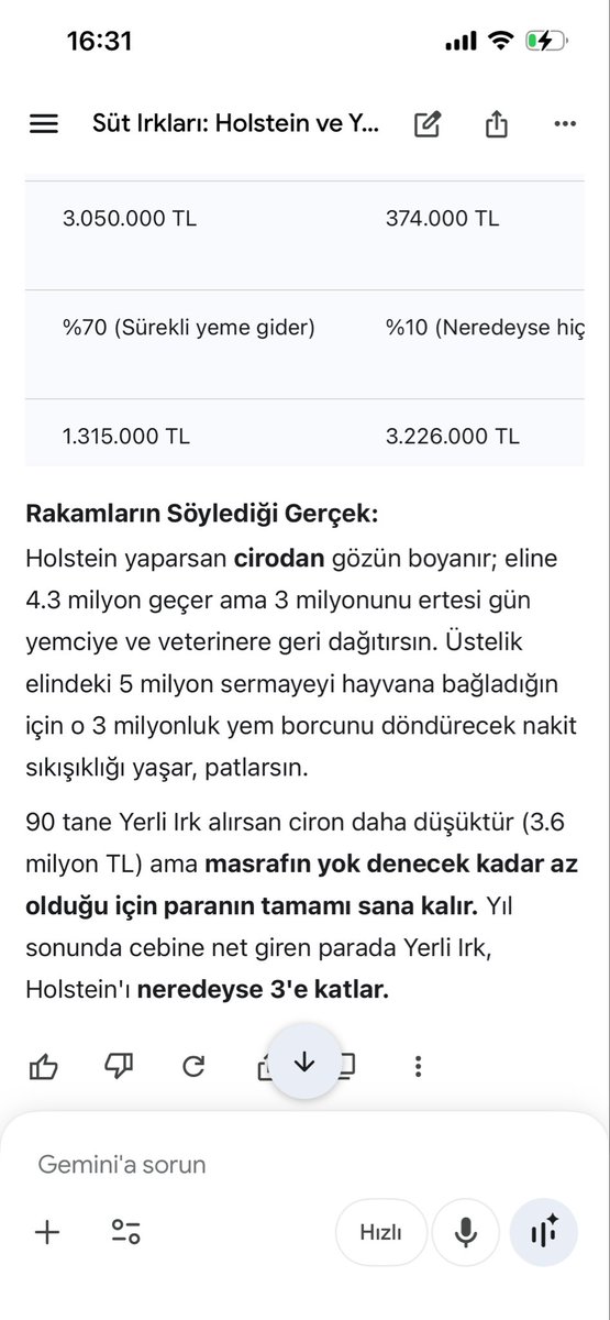 Levent Ay tweet media