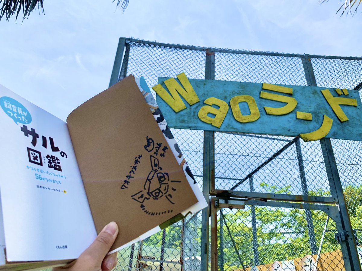 着物の帯がワオキツネザルで5度見くらいしてしまいました