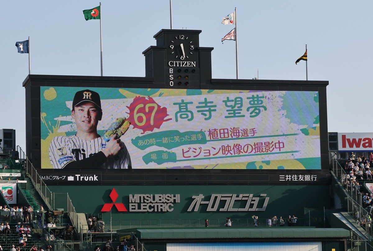 デイリー阪神担当×タイガース tweet media