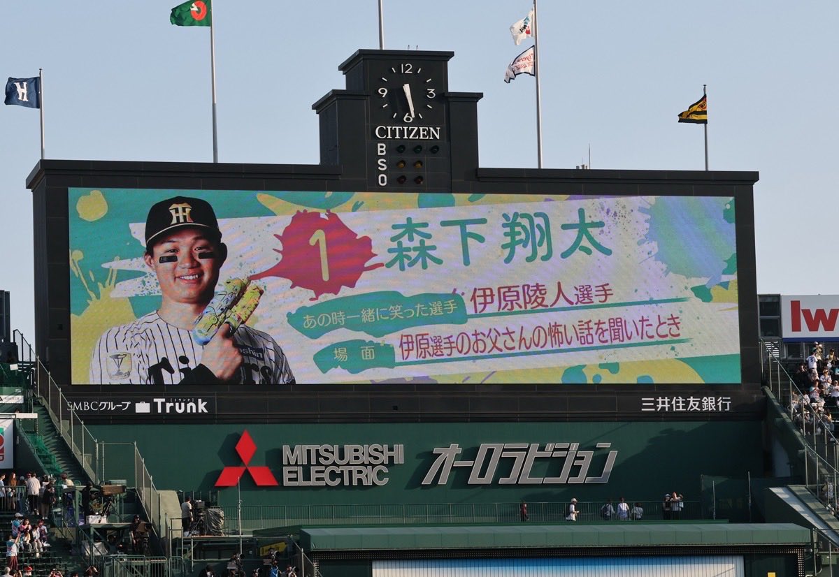 デイリー阪神担当×タイガース tweet media