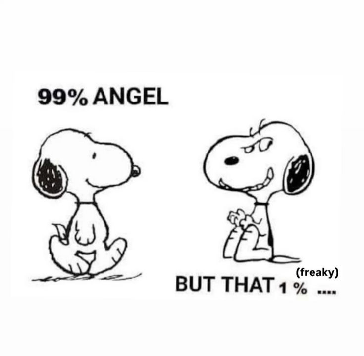 Snoopy tweet media