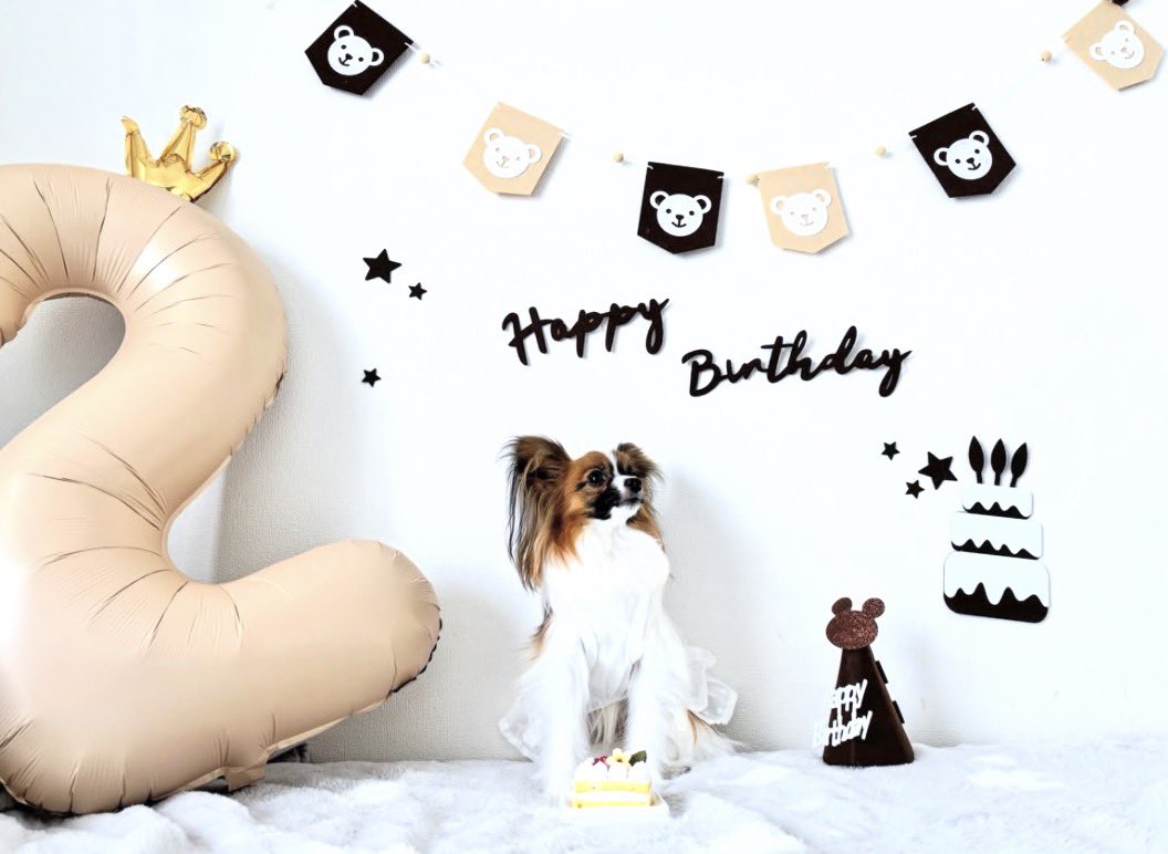 0mona_13's tweet photo. るぅくん🐶🤎
2歳お誕生日おめでとう！！！
これからもずっと大事！
大好き😝💖 https://t.co/y3gvjfhj7e
