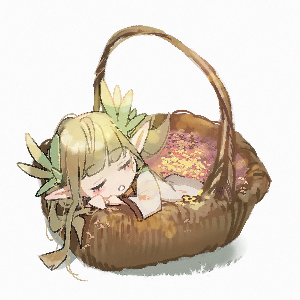 アケカエデ tweet media