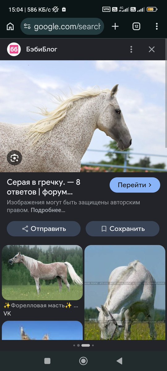 настич tweet media