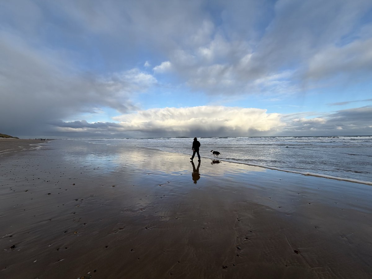 AnitaRolfe's tweet photo. @Kesthecollie Northumberland https://t.co/4uYtRjmMYR