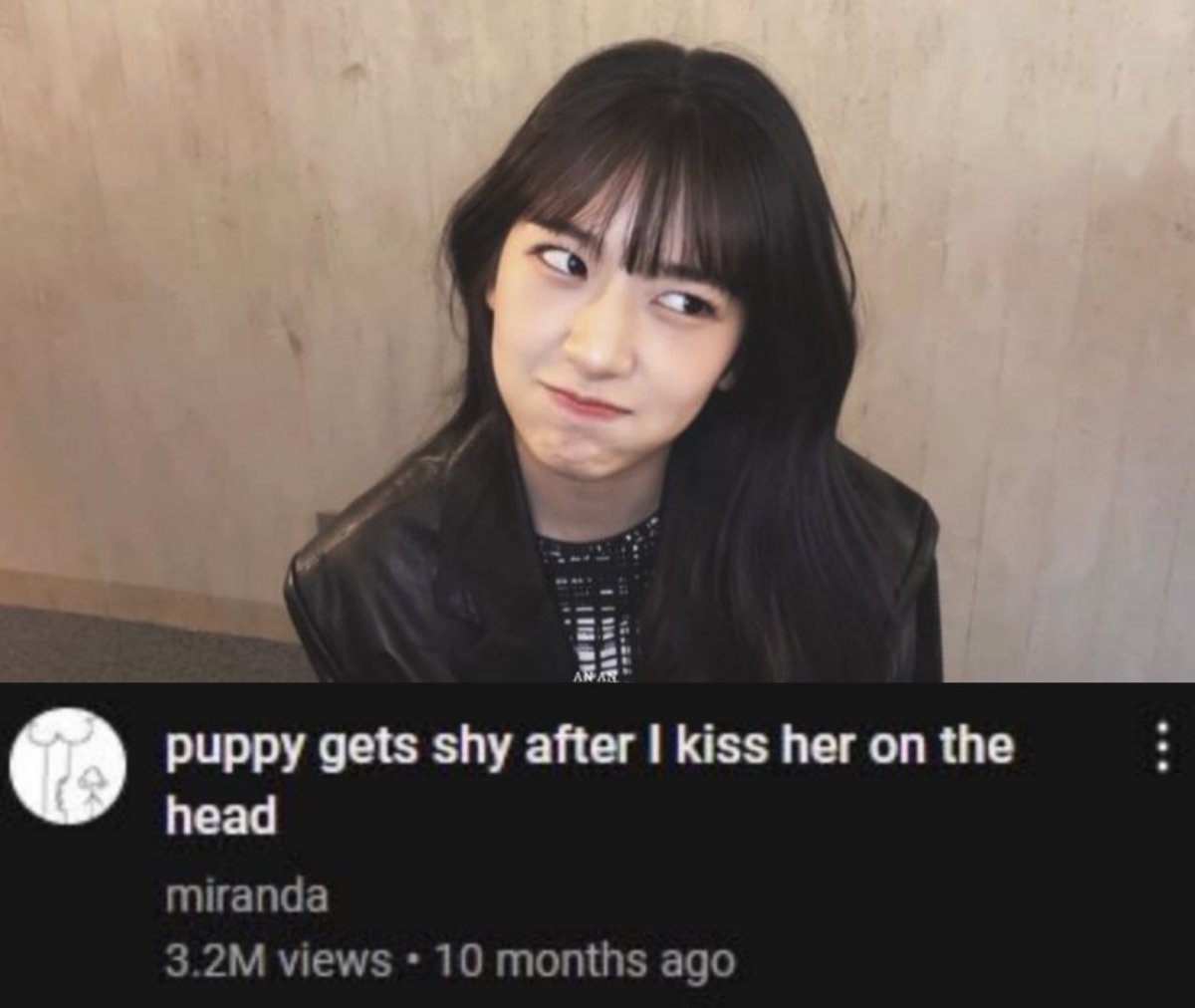 🐶 tweet media