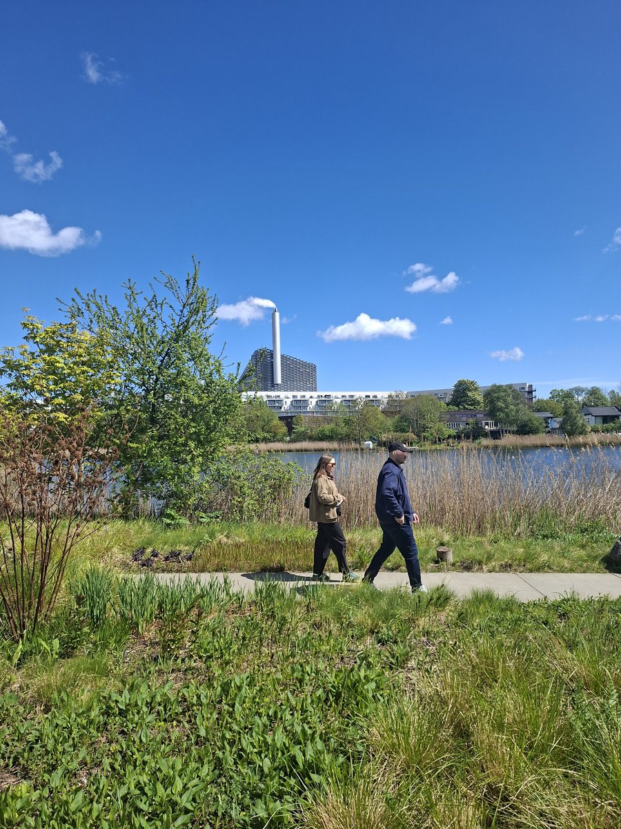 PopeHelmet's tweet photo. Copenhagen review: mildly evil vibes overshadowed by it being a genuinely really nice place https://t.co/GLge0C1TCf