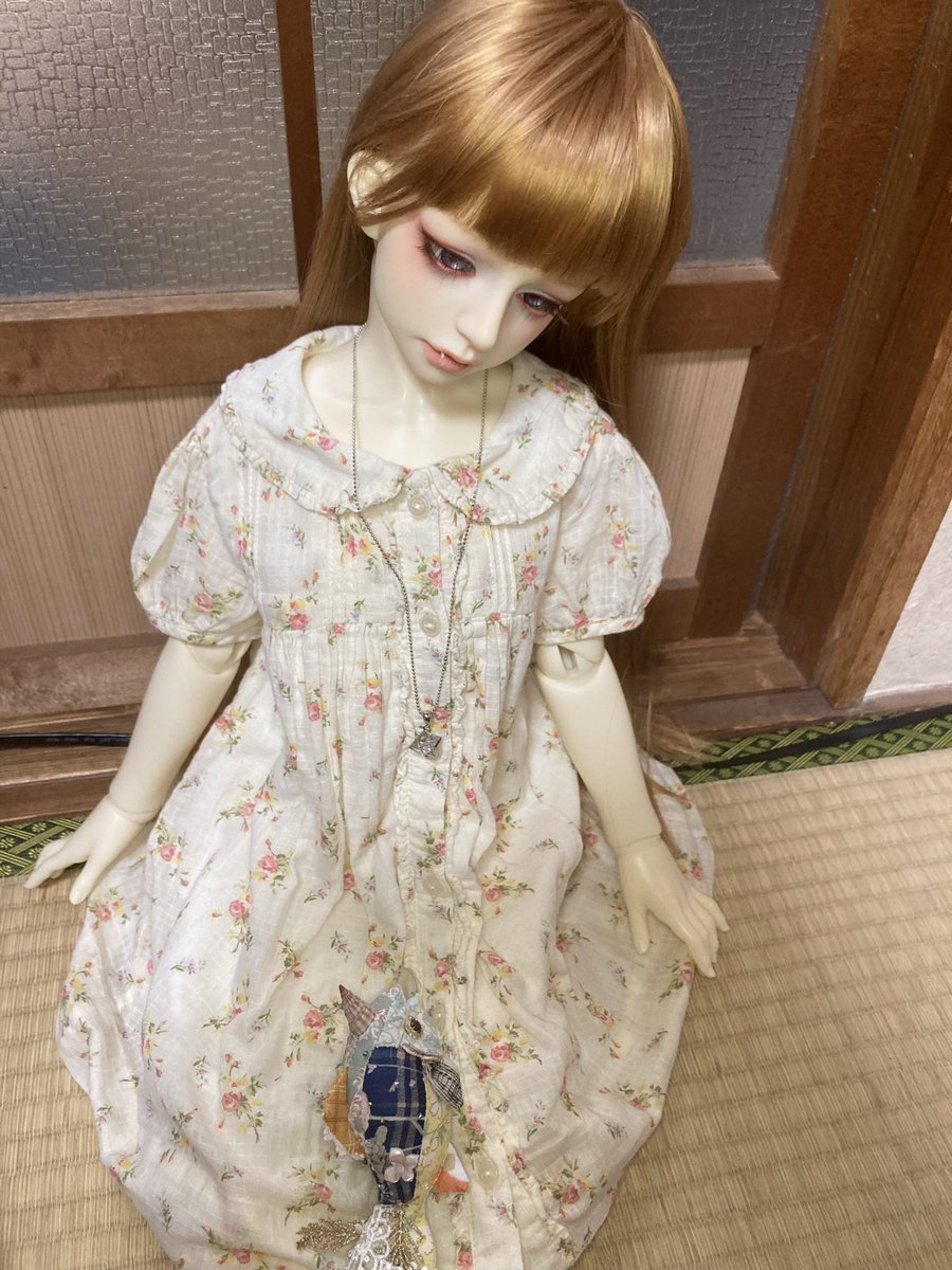 madderhtf's tweet photo. #魚水屋
あやねさんとエイさんは気が合いそうな気がしたんだよね https://t.co/HCwgi1rsRt
