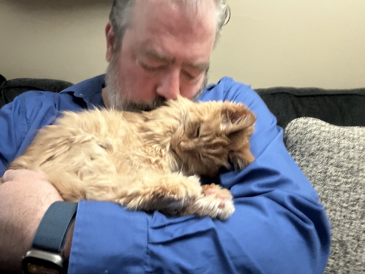 DChrol's tweet photo. I had to say goodbye to my sweetest little guy this morning. Aiden has been having strokes for years, but the one last night he wasn't able to recover from.  He's been my buddy for the last 19 years, and I'm glad I was able to be there with him at the end.  Love you, little guy. https://t.co/ArBo4Zr89k