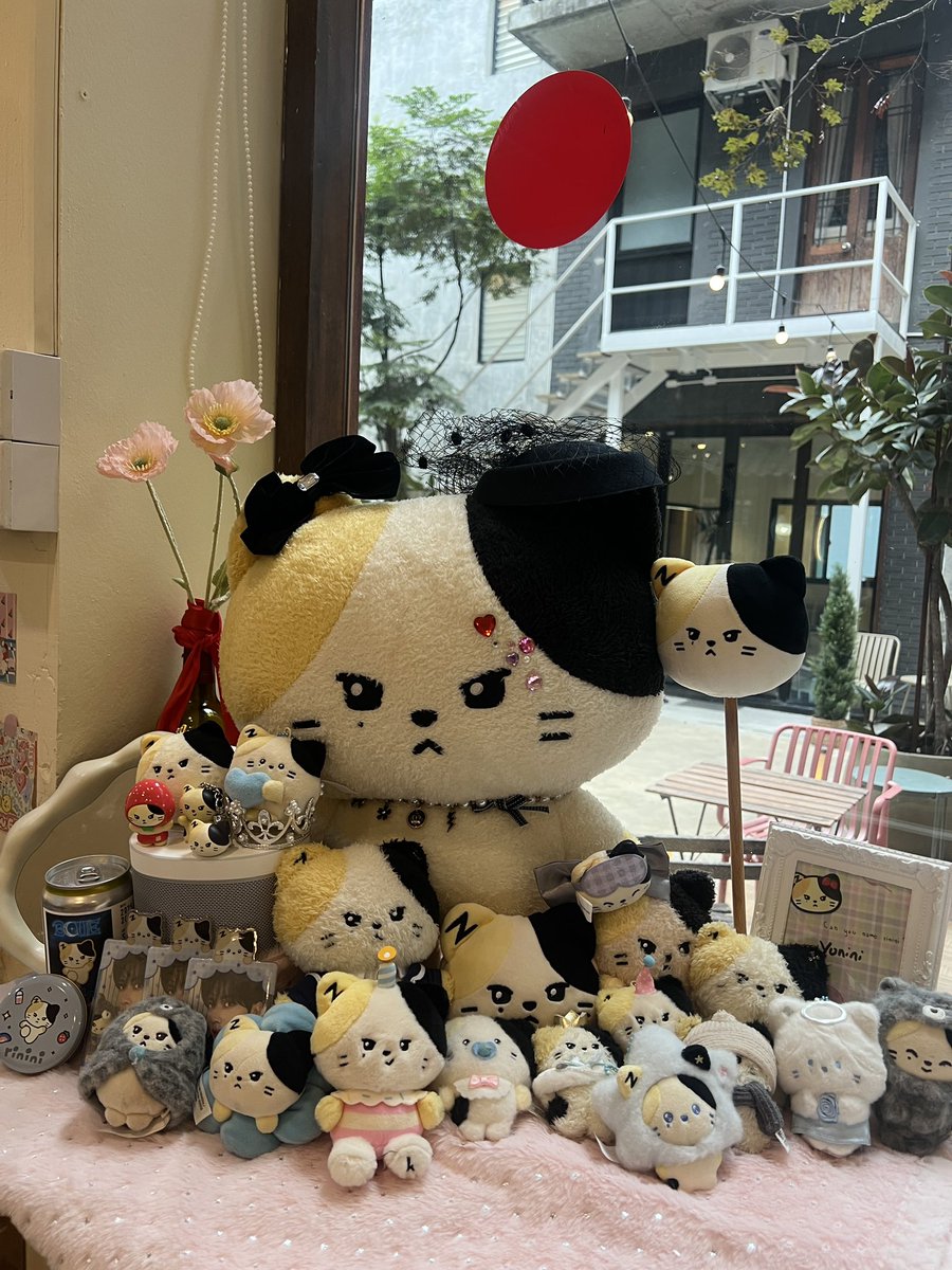 🐱ིྀ yonbonbon ˑ♡ྀི 🍓ྀི tweet media
