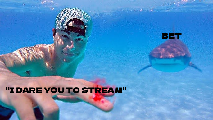 Mama Shark 💙🦈 tweet media