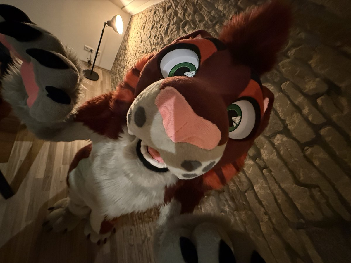 Foxy Woxy tweet media