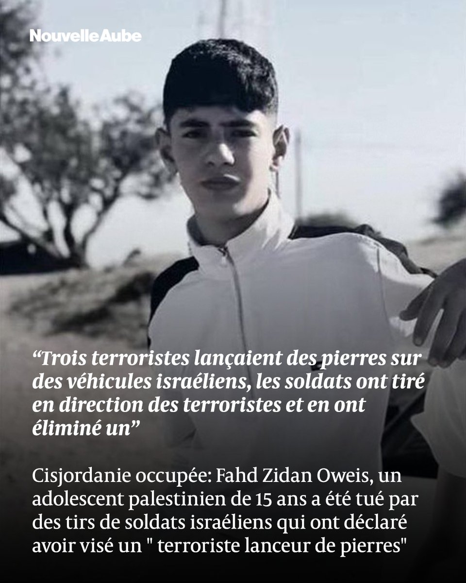 Nouvelle Aube - Yeni Şafak Français tweet media