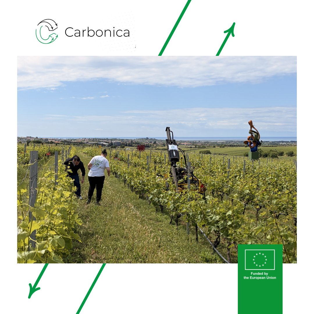 CarbonicaE's tweet photo. 🌱From dialogue to the field
#CARBONICA wrapped up two days, 13–14 May, in Thessaloniki with the Brain Gain Conference, a panel discussion, and a field visit at Ktima Gerovassiliou

✨More highlights coming soon!

#CarbonicaExcellenceHub #HorizonEU #EUInnovation #ResearchImpactEU https://t.co/vGYMPVrg70