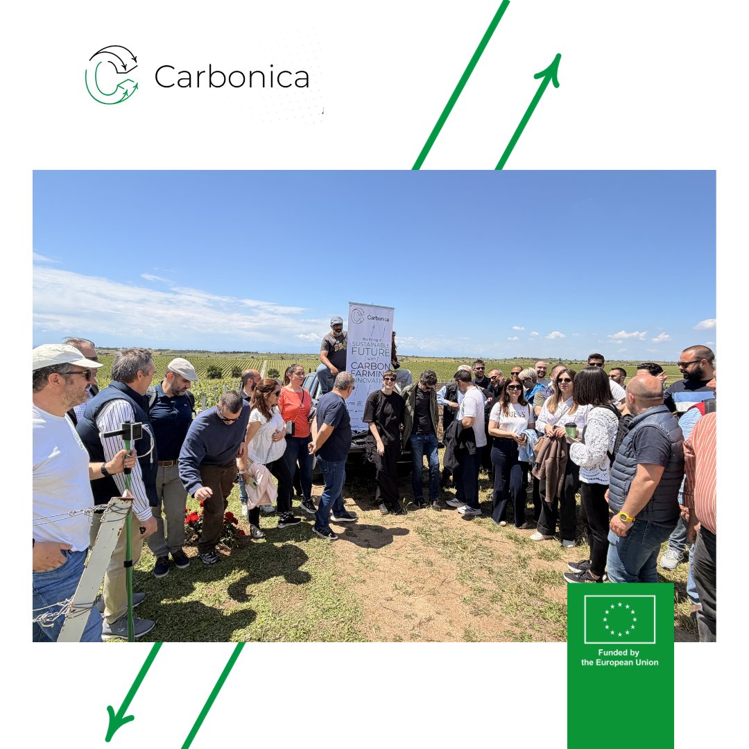 CarbonicaE's tweet photo. 🌱From dialogue to the field
#CARBONICA wrapped up two days, 13–14 May, in Thessaloniki with the Brain Gain Conference, a panel discussion, and a field visit at Ktima Gerovassiliou

✨More highlights coming soon!

#CarbonicaExcellenceHub #HorizonEU #EUInnovation #ResearchImpactEU https://t.co/vGYMPVrg70