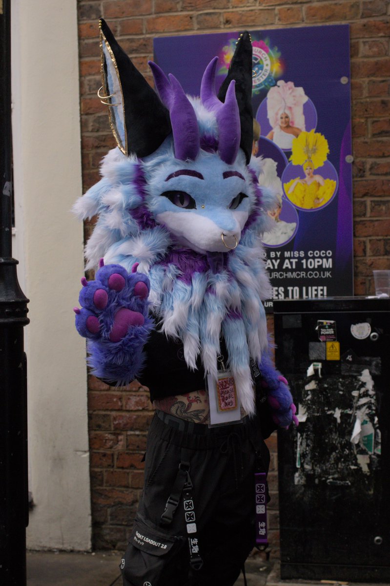 Chance 🔜 ✨ EuroFurence 30 ✨ tweet media
