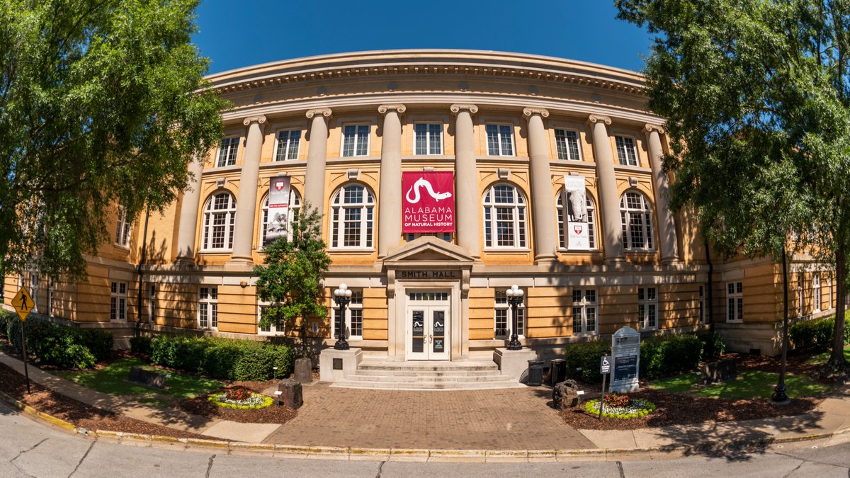 Alabama Museum of Natural History tweet media