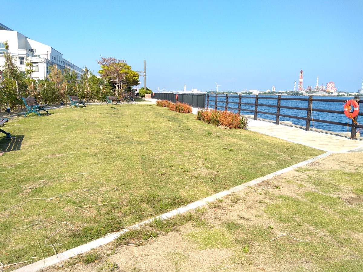jx8418's tweet photo. ガラガラの電車を降りると
海〜   芝生
ここも駅構内 (都内)
錆びた金属音ひどい大音響
落ち着けなかった https://t.co/P3O5OE9ysh