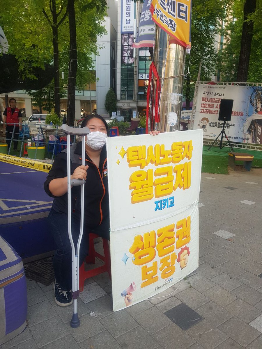 고영기(하얀소나무) tweet media