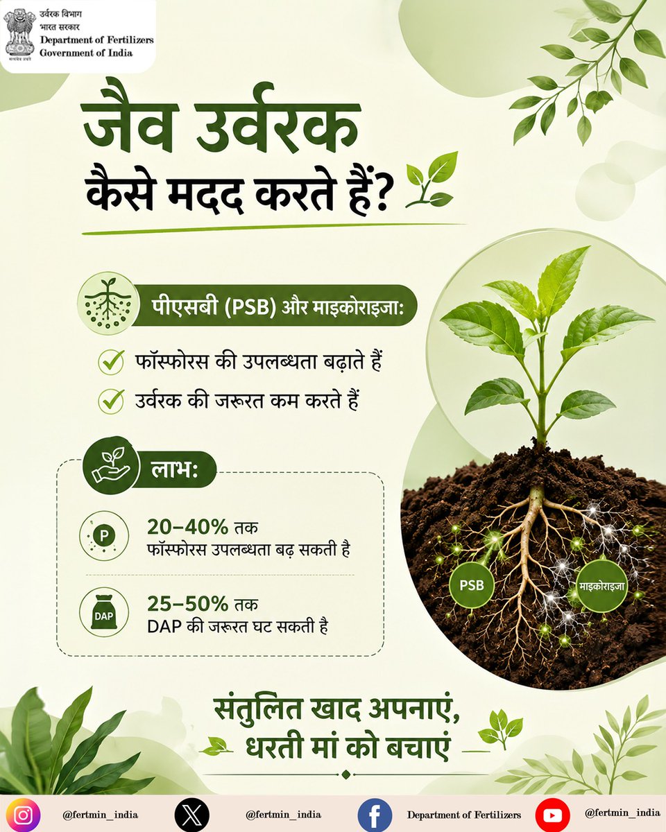 BharatUrvarak's tweet photo. जैव उर्वरक खेती में लागत घटाने और मिट्टी की सेहत सुधारने में अहम भूमिका निभाते हैं। 🌱
पीएसबी (PSB) और माइकोराइजा फास्फोरस की उपलब्धता 20-40% तक बढ़ाते हैं, जिससे डीएपी की आवश्यकता 25-50% तक कम हो सकती है।
संतुलित उर्वरक उपयोग अपनाएं, मिट्टी भी बचाएं और पैसा भी बचाएं। https://t.co/LTj9y7VCWR