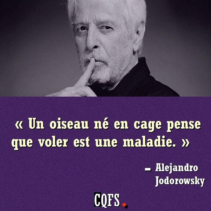 Le libraire tweet media