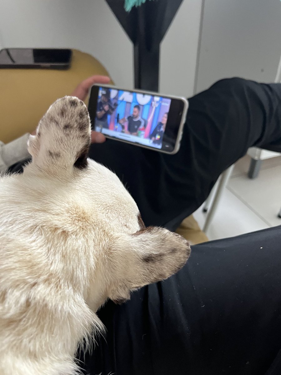 sugagallardo's tweet photo. África viendo si los chicos de @nadiedicenada_  nos ayudan difundiendo su historia 🙏🏼 https://t.co/QgwEjElYWU