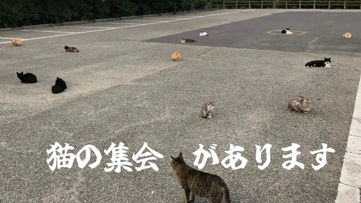 るーと tweet media