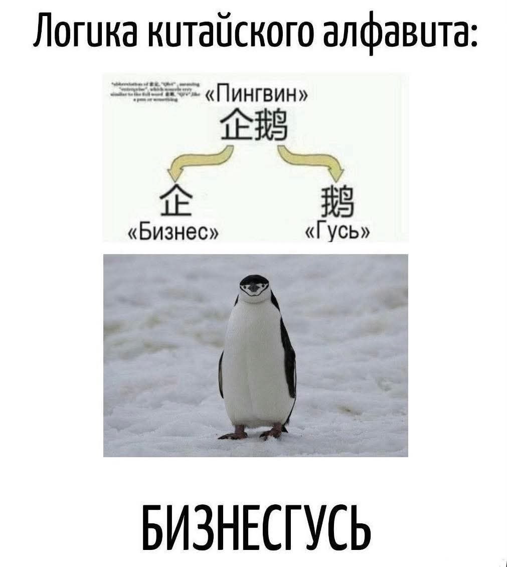 Hø tweet media