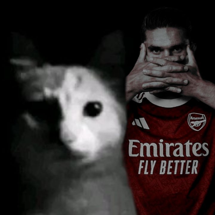Arsenal Veracruz (Abogado de Trossard) tweet media